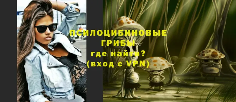 даркнет наркотические препараты  Гремячинск  Галлюциногенные грибы Magic Shrooms  закладка 